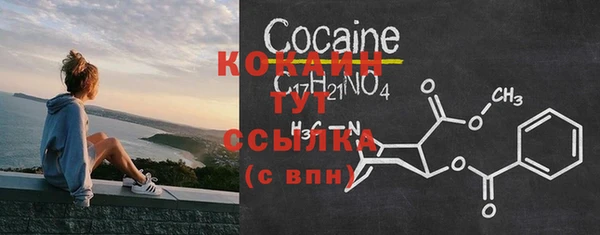 прущий лед Бородино