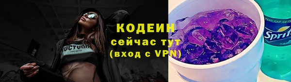 прущий лед Бородино
