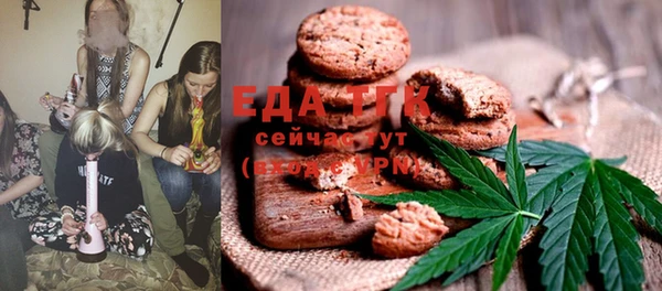 прущий лед Бородино