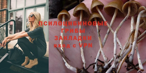 Альфа ПВП Бугульма