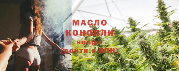 прущий лед Бородино