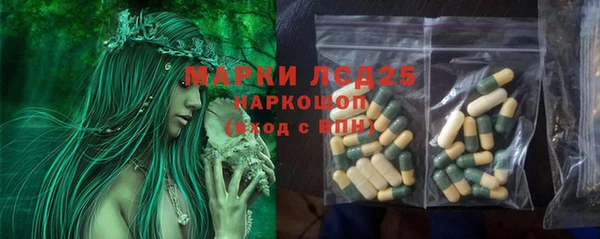 прущий лед Бородино