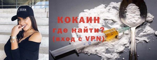 прущий лед Бородино