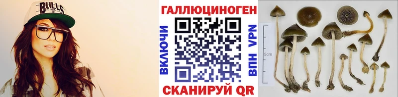 Купить  Радужный  Галлюциногенные грибы GOLDEN TEACHER 